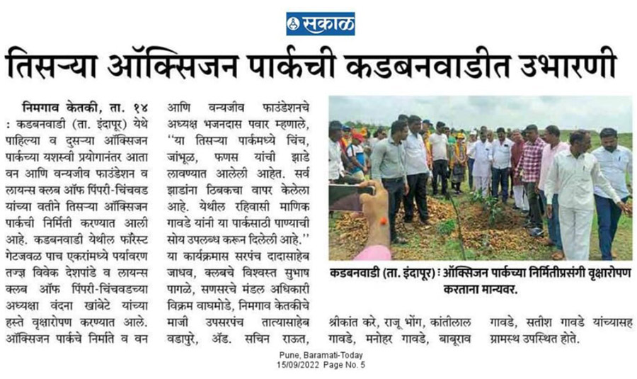 Plantation drive 3